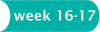 Week 16-17